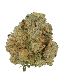 Cannamedical Indica Forte DK Sky Berry Kush